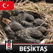Foto de Murat Dalkıran
