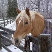 Foto von Gidget Nelson