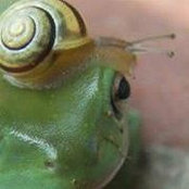 Luanne Brown's photo