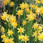 Gretchen Kaufman's photo
