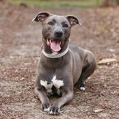 Jessica Fischer's photo