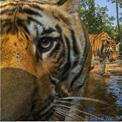 Rohit Mathur's photo