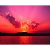 Hinna Ansari's photo