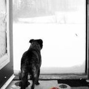 Jennifer Workman's photo