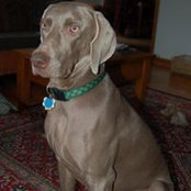 Mark David's photo