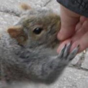 Foto von Erin Rinner