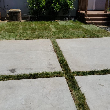 concrete driveway & walkway