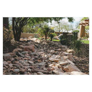 Sustainable Desert Serenity in Scottsdale - Contemporary - Landscape