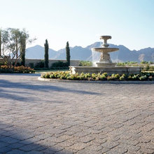 Landscape Ideas