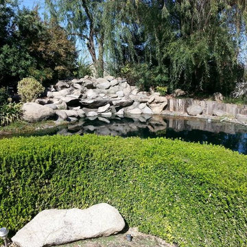 Lawns