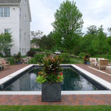 Large square planter boxes by pool with abundant seating