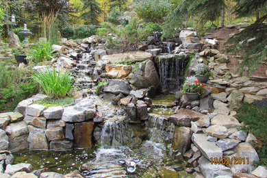 This is an example of a tropical landscaping in Calgary.