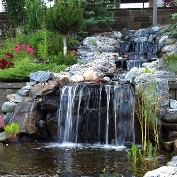 Backyard Project