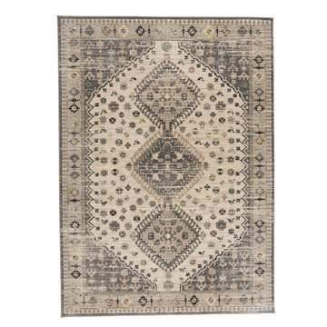 Huron Area Rug - Beige/Gray