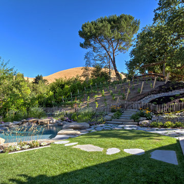 Danville hillside