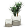 Cylinder Pot in White Matte Finish 15" Height
