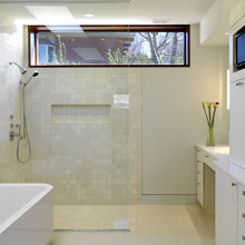 Shower Niche