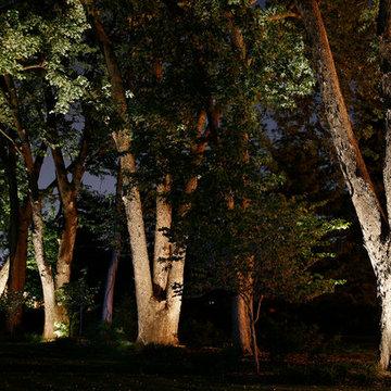 Lighting in Evansville, Indiana by NiteLiters
