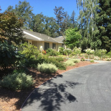 Menlo Park Lawn Replacement