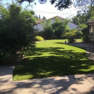 Front yard artificial turf