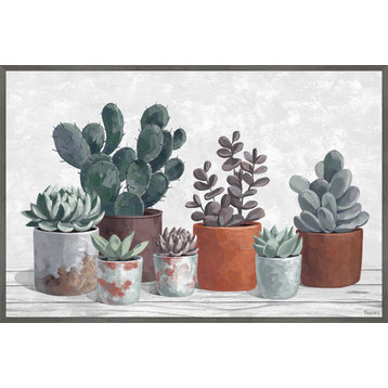 "Succulent Clay Pots" Floater Framed Painting Print on Canvas