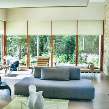 Window Shades by Distinctive Window Treatments Plus