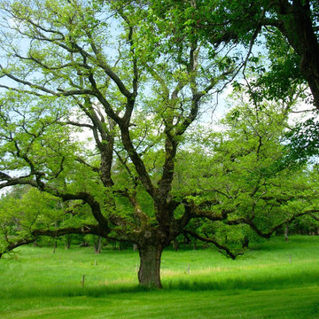 Glendale: 20 years of Soul Conservation, near Somerset, VA