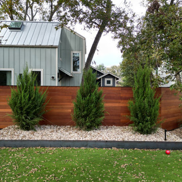 Eastern Red Cedar Trees- Bouldin Creek Project