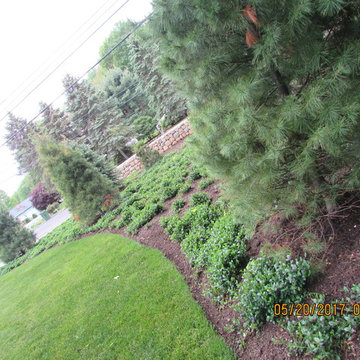 Garden Design