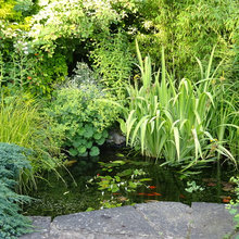 Smiths End Farm Garden