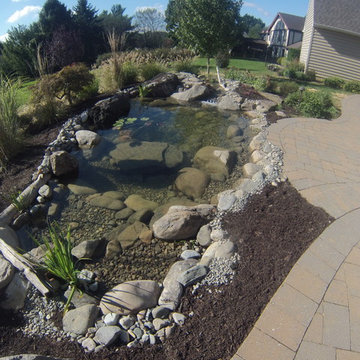 Fish Pond Rebuild