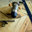 Dark Matter Woodcraft