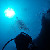 Eric Chiu's photo
