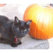 LUanne Labreche-Prentice's photo