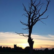 Andy Spooner's photo