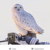 Martha Hidalgo's photo