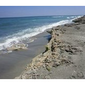 Darian Dumont's photo