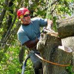 Tree Service Broken Arrow