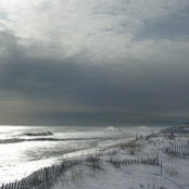 Zoe Wells's photo