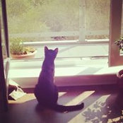 Filemon Bonifacy's photo