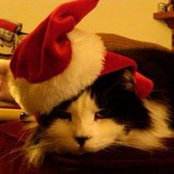 Marsha Menzel's photo