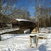 Tammy Ballou's photo