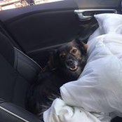 Krystyna Andrzejczuk's photo