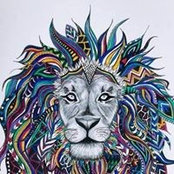 Colleen Harper's photo