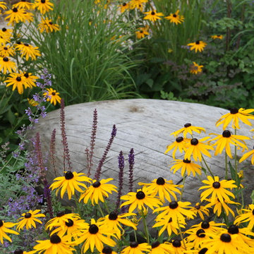 Garten-Impressionen