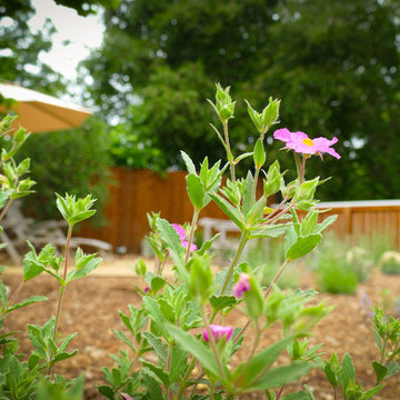 Back Yard Bliss