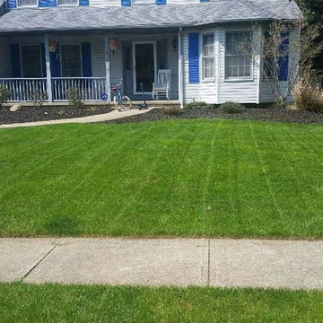 Landscaping
