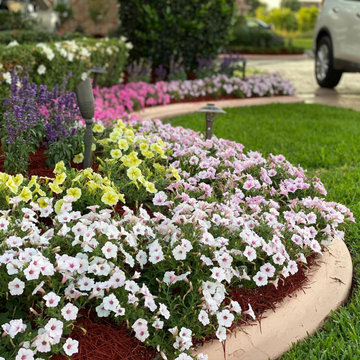 Landscape & Plant Designs