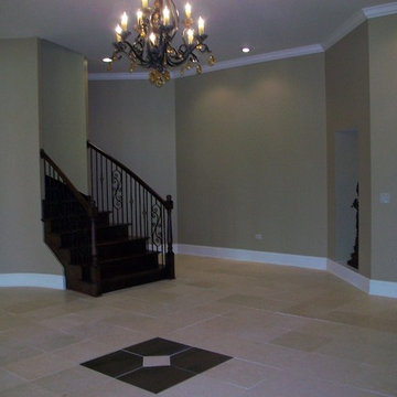 South Barrington Basement