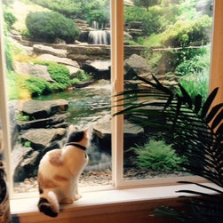 Window Well Scenes and Liners - Home Improvement